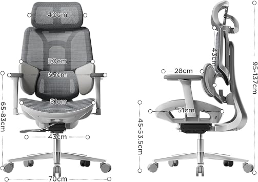 Hbada E3 Air Ergonomic Office Chair – Dynamic Lumbar Support with 3 Zones, 3D Headrest and 4D Arms, Ergonomic Desk Chair Without Pedals (Grey)