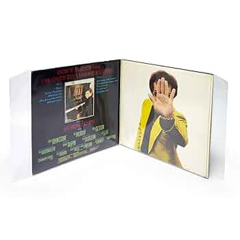 Amazon.co.jp: MayRecords 5枚入 12インチLPレコード保護