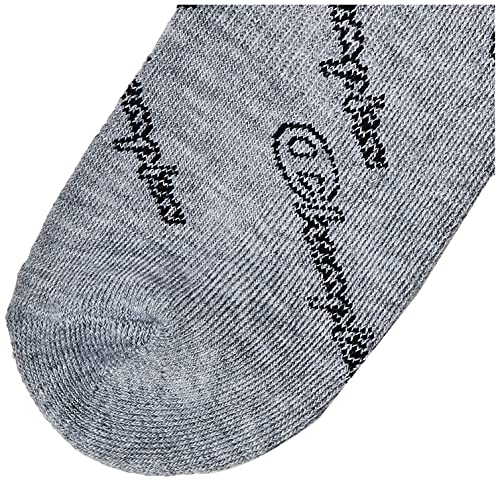 Champion mens 3-pack Hollow Script Crew Socks2