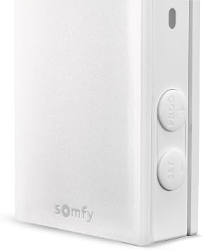 somfy 1871307 - Suntéis io - Outdoor Sun and Temperature Sensor - Tahoma Switch Compatible - Automates shutters, Blinds, and All Compatible Motorized Sun Protection