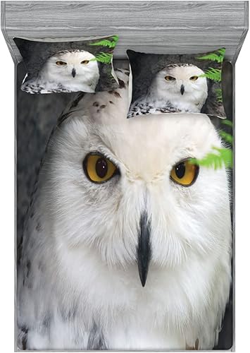 Miniatura 112 de Ambesonne Juego de sábanas bajeras y fundas de almohada de los años 90, patrón geométrico en estilo retro, formas redondas de triángulo de media