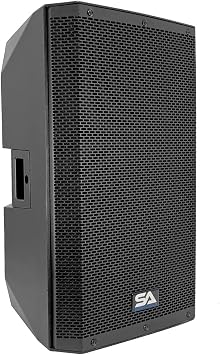Seismic Audio - Riot-15P - 15 Inch Passive 2-Way 900 Watt PA/DJ Speaker Cabinet