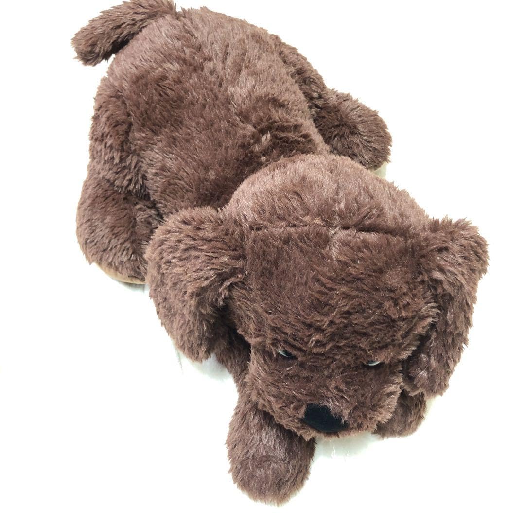 Amazon.co.jp: コストコ 犬 ぬいぐるみ ブラウン 茶色 : おもちゃ