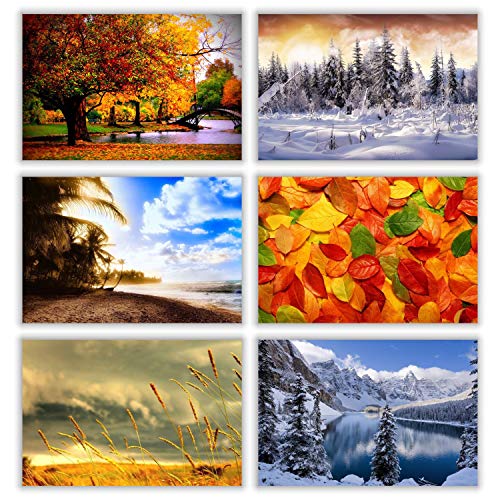 Seasonal Nature Postcards - (Pack of 54) 4"x6" Bulk Variety of Fall Autumn Winter Summer Spring Theme with Mailing Side - all Occasion Cards