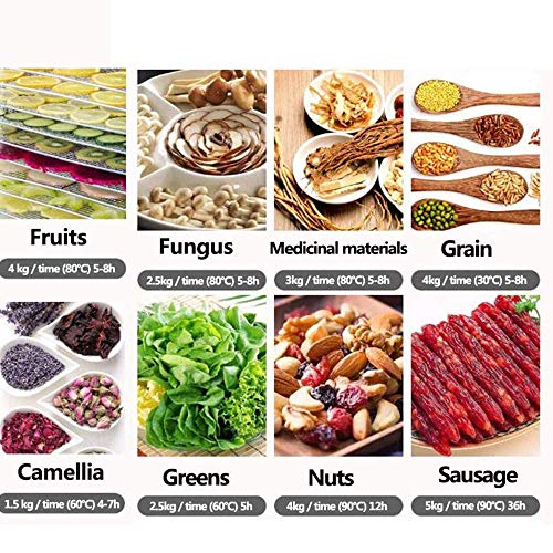 ZXLLAFT Dörrautomaten Lebensmittel Edelstahl-dehydrator Obst Gemüse Trockner Mit 14 Tabletts Touchscreen Temperaturregelung Zum Trocknen Trockenfleisch, Obst Kräutern,110V – Bild 8