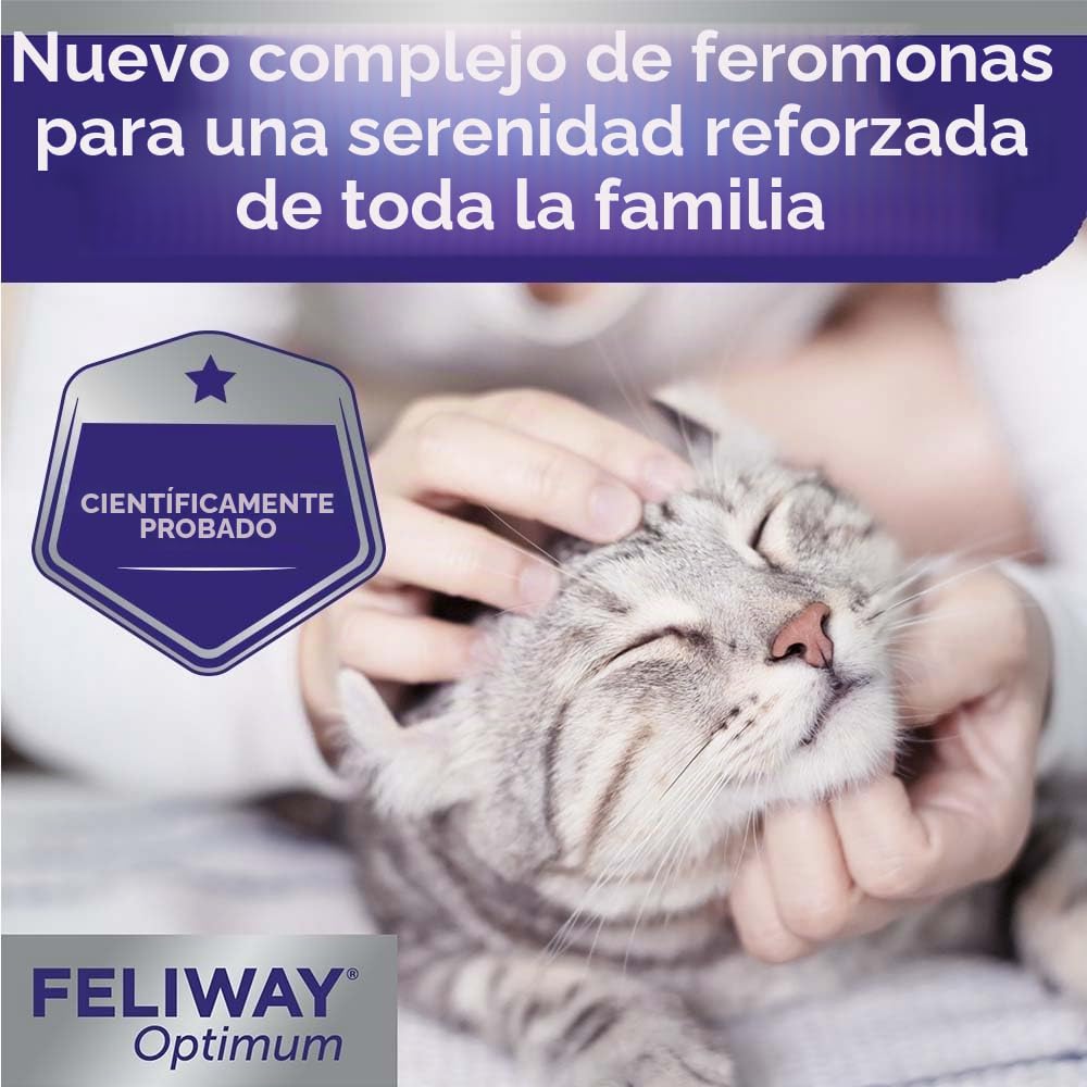 Ceva Feliway Optimum frasco de recarga de 30 días | Pack de 2 | 2 x 48 ml | Puede ser útil para reducir el estrés en gatos | Apto para cualquier etapa de la vida