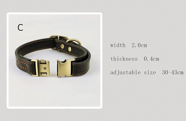 Foto 2 de 6 de Collar para Perro Collar básico de Piel con Cierre de Clic, Ajustable