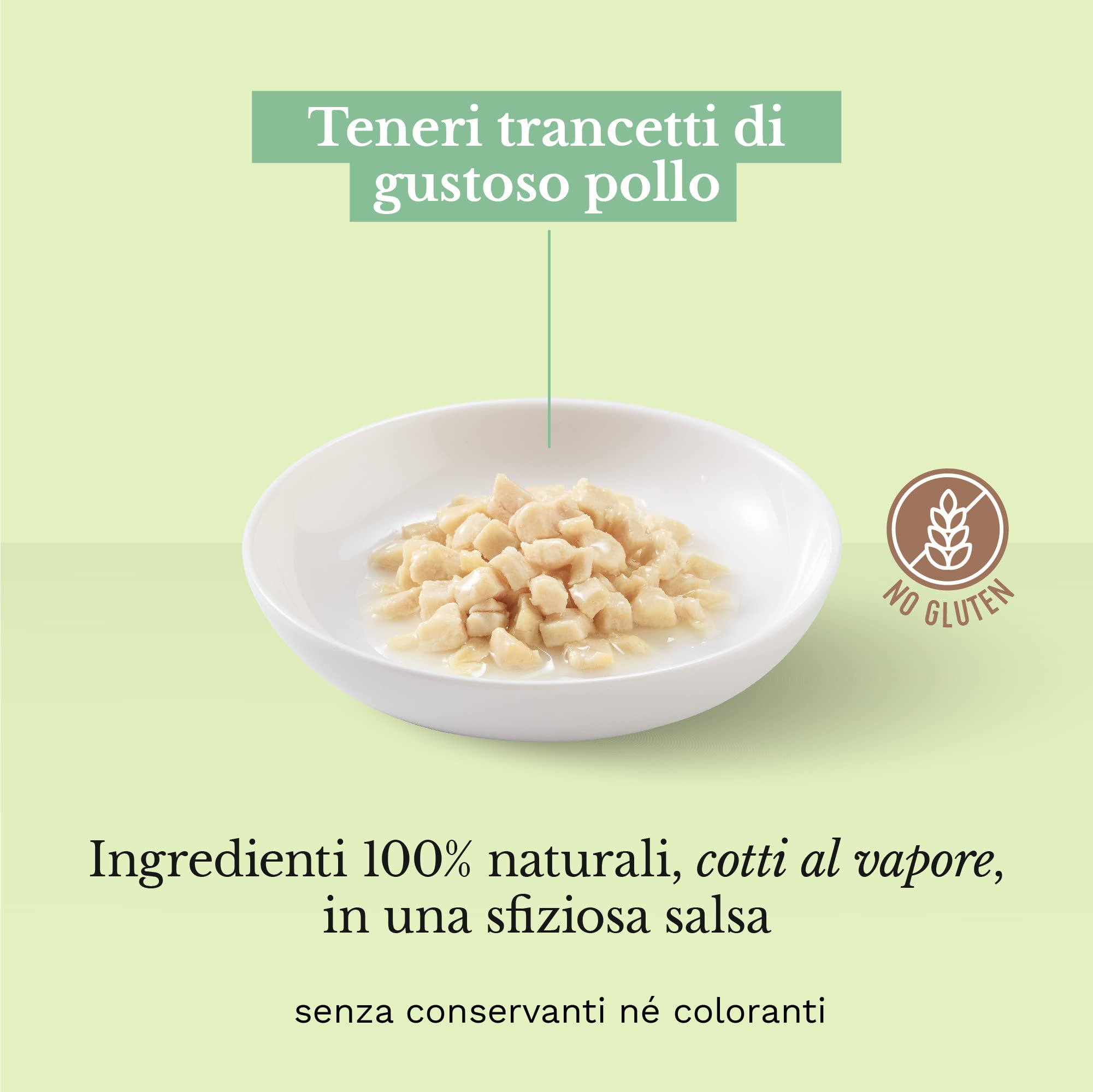 Schesir, Cibo Umido per Gatti Adulti con Trancetti di Pollo, in Morbida Gelatina - Totale 1,7 kg (20 Buste da 85G)