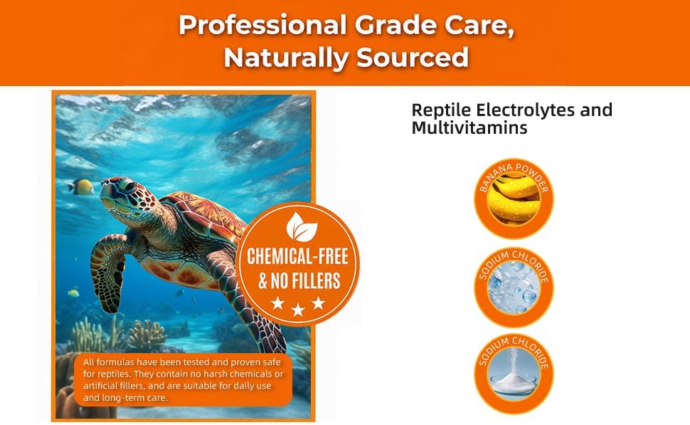 Tortoise Electrolytes — Ultra-Fine Powder — Banana 2.82 oz | Hydration