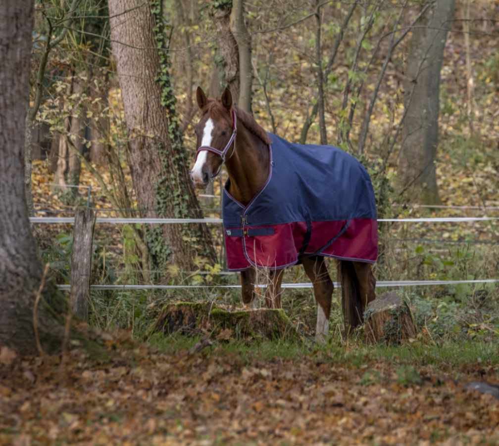 Equitheme TYREX Couverture d'extérieur pour cheval avec doublure en nylon 1200 deniers, imperméable, respirante, sangles croisées, etc. 135 cm