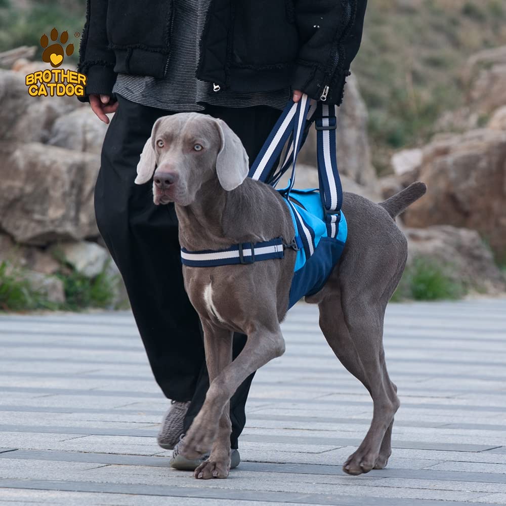 Imbracatura per cani per cani, tracolla per cani feriti, anziani o limitati, portatile per riabilitazione, diverse misure di sicurezza (M)