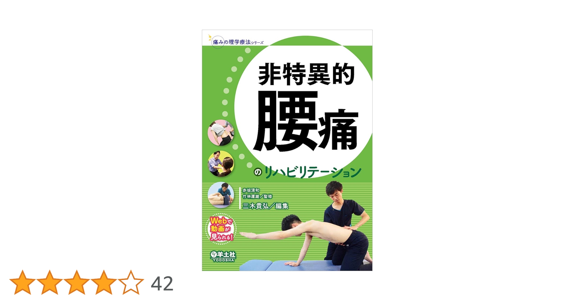 非特異的腰痛のリハビリテーション (痛みの理学療法シリーズ) | 赤坂