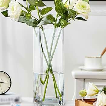 Amazon.co.jp: YJFFQ ガラス花瓶 花瓶 10*25cm 一輪挿し