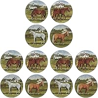 Vista 9 de Certified International York Stables - Platos llanos de 10.5 pulgadas, juego de 4