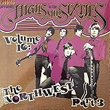 Pebbles HIGHS IN THE MID SIXTIES Vol.16 - The Northwest Part 3