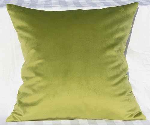 TangDepot - Funda de almohada lisa de terciopelo, funda de almohada estilo europea, funda de cojín supersuave, muchas opciones de colores y tamaños