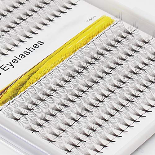 Dedila -200Pcs Grafting Mixed 8-10-12-14Mm/10-12-14-16Mm/12-13-15-16Mm /12-14-16Mm/14-15-16Mm Individual False Eyelashes Long Stem Cluster Natural Long Premade Fans Volume Eye Lashes (12-14-16Mm) #TOP2