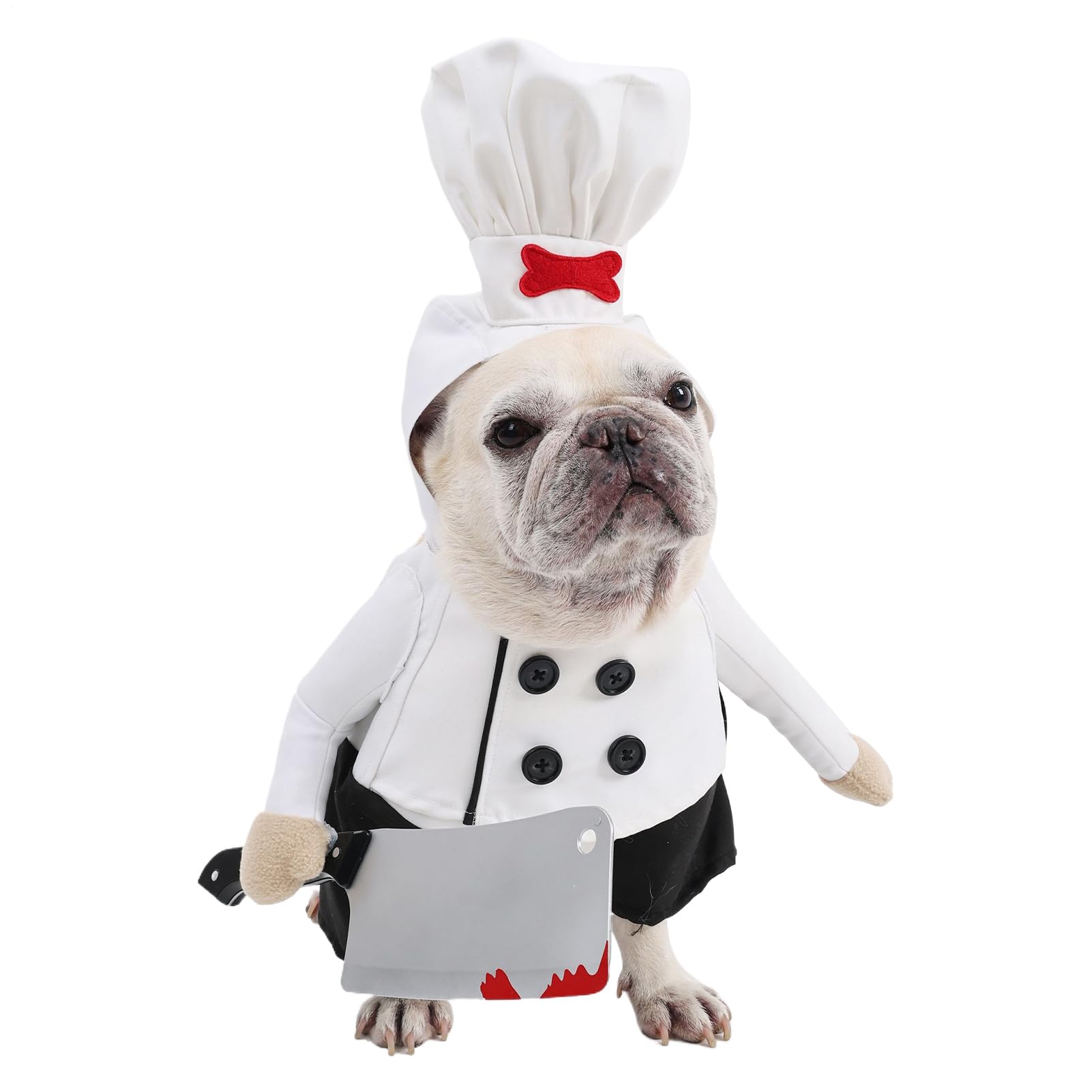 Suministros de fiesta para traje de gato ideales para sesiones fotográficas de Halloween