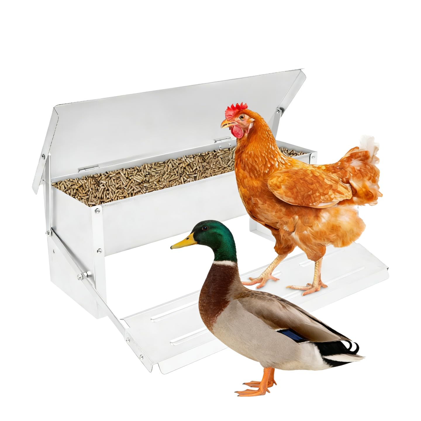 Comedero automático para pollos, 8,2 L, para gallinas, 5 kg, para gallinas, patos, gansos