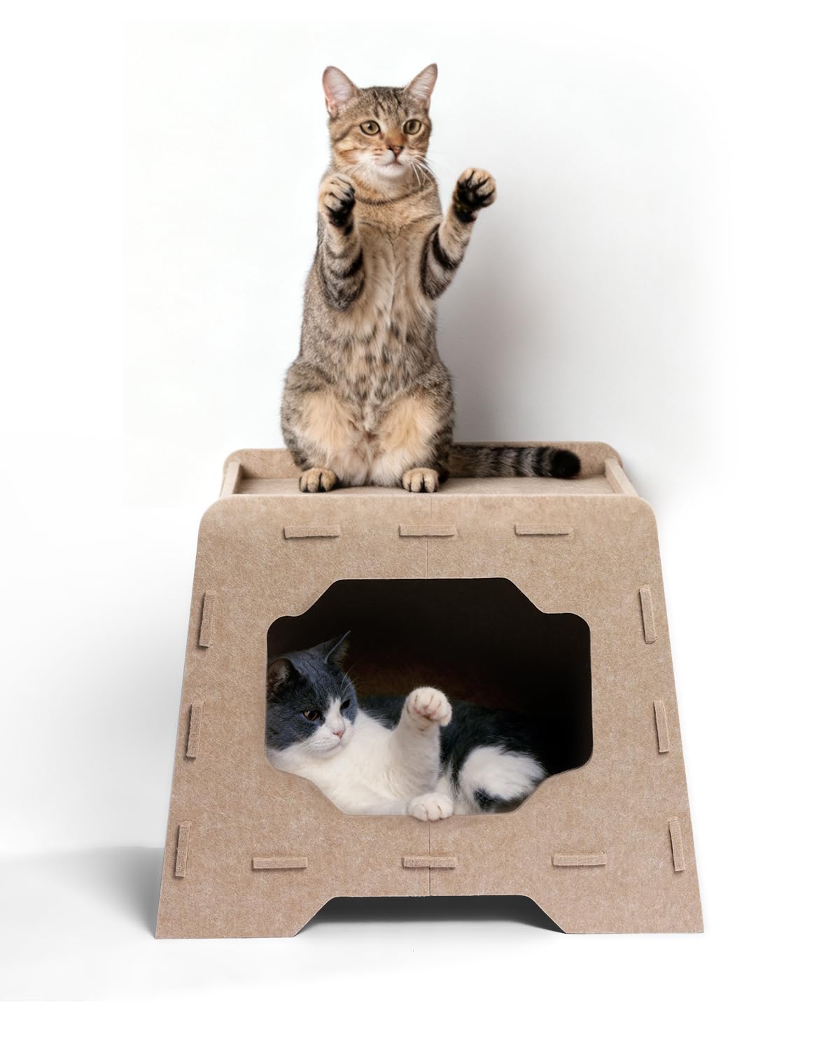 Pawtasy Katzenhöhle Filz Katzenhaus aus Filz für große Katzen, Katzen Höhle 2-Ebenen, Trapezform Stabiles Katzenbett Höhle, Filzhöhle Indoor Aussichtsplattform & Versteck, 50 x 31 x 41 cm, Beige