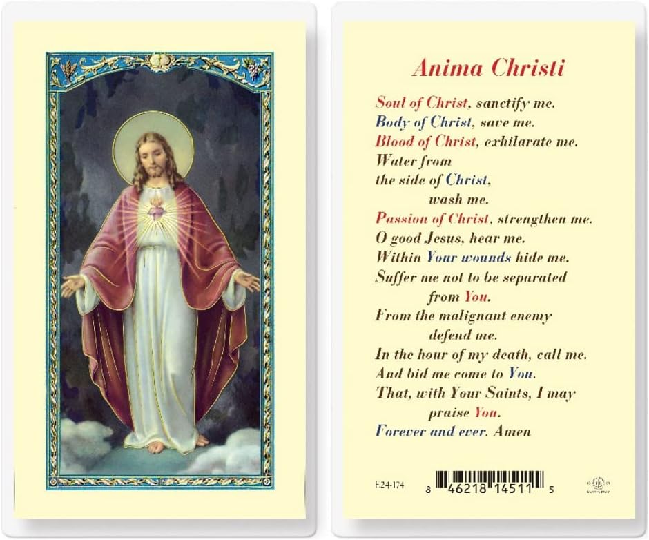 Artisan Owl Anima Christi Sacred Heart of Jesus Holy Cards (Set of 5)