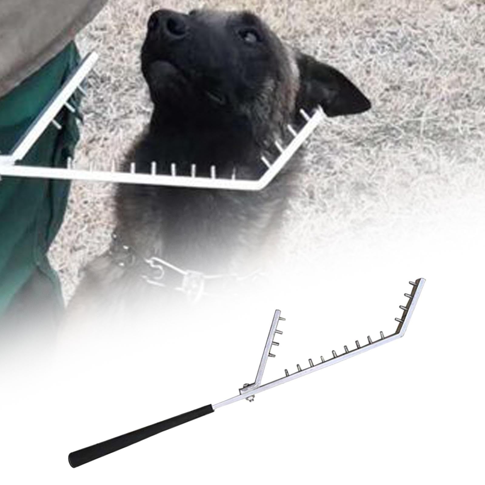 B Baosity Equipo Profesional de Entrenamiento para Perros: Palo de Aleación, Herramienta de Entrenamiento para Cachorros.