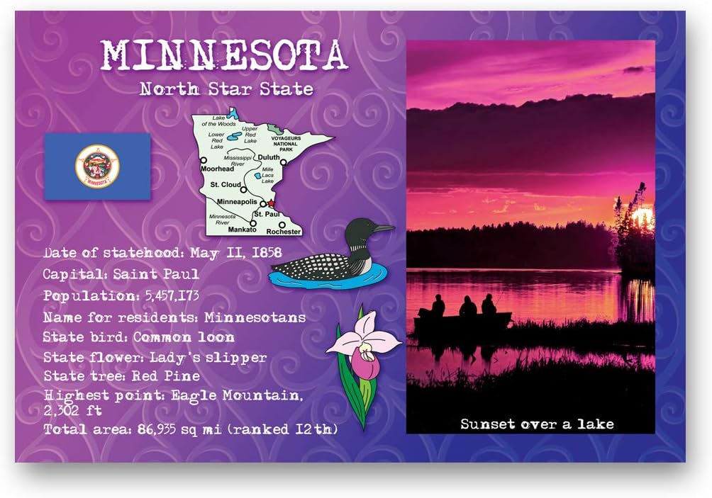 STATE FACTS postcard set of 50 postcards. All 50 US states symbols and info post card pack. Made in USA.