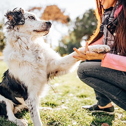 Pfotenbalsam Greendoor aus natürlichen Bio-Inhaltsstoffen für Hunde und Katzen