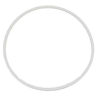 Blackmer 383801 Seal Ring Head for SNP2