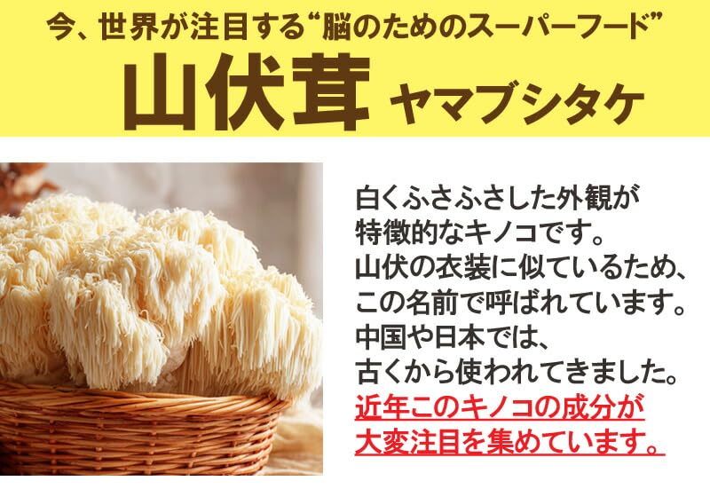 Amazon | ヤマブシタケサプリメント60粒(約2ヶ月分) 高濃度エキス配合