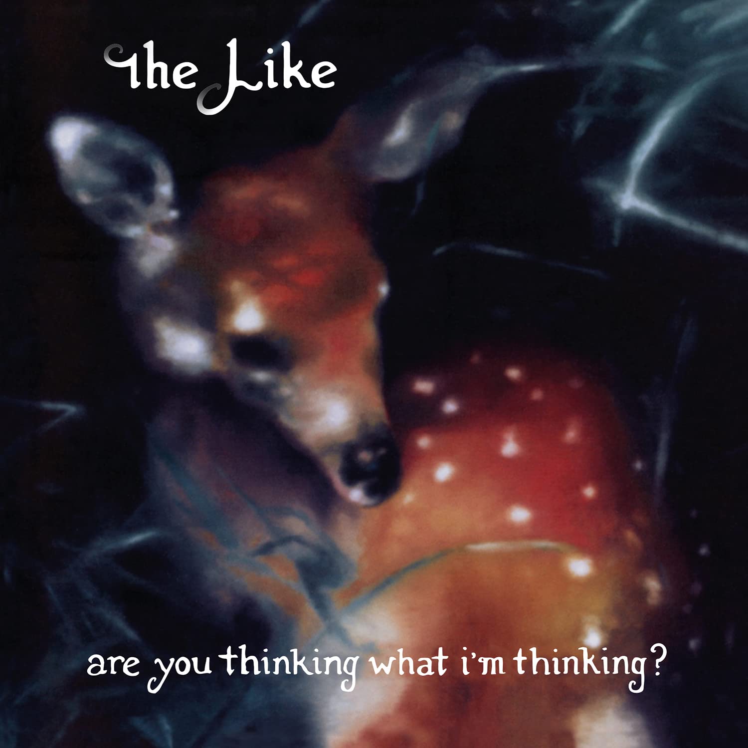 Are You Thinking What I'm Thinking? [VINYL]