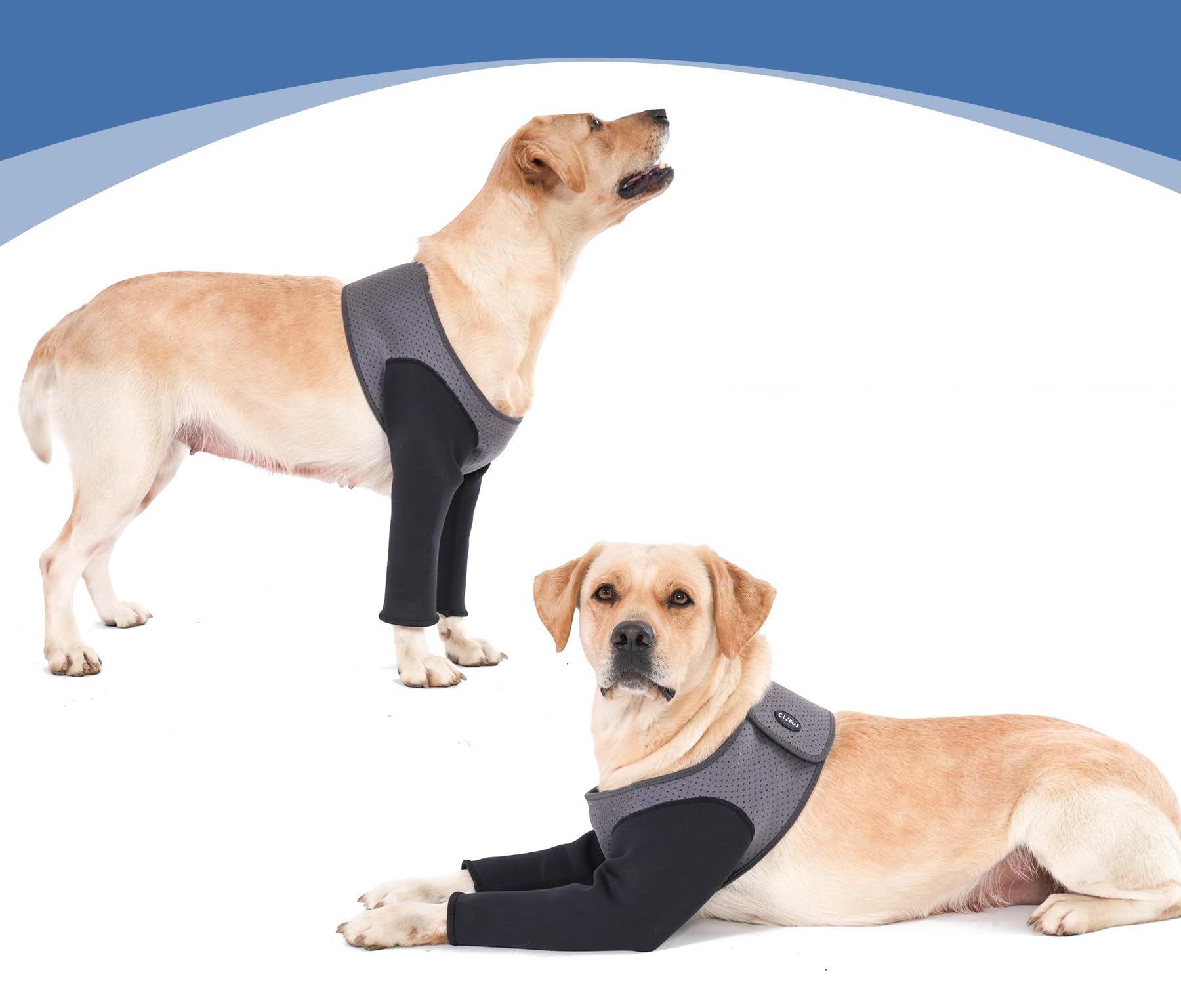 Hunde-Genesungsärmel Als Kegelhalsband Alternative – Wasserdicht, Reflektierend, Verstellbar & Atmungsaktiv
