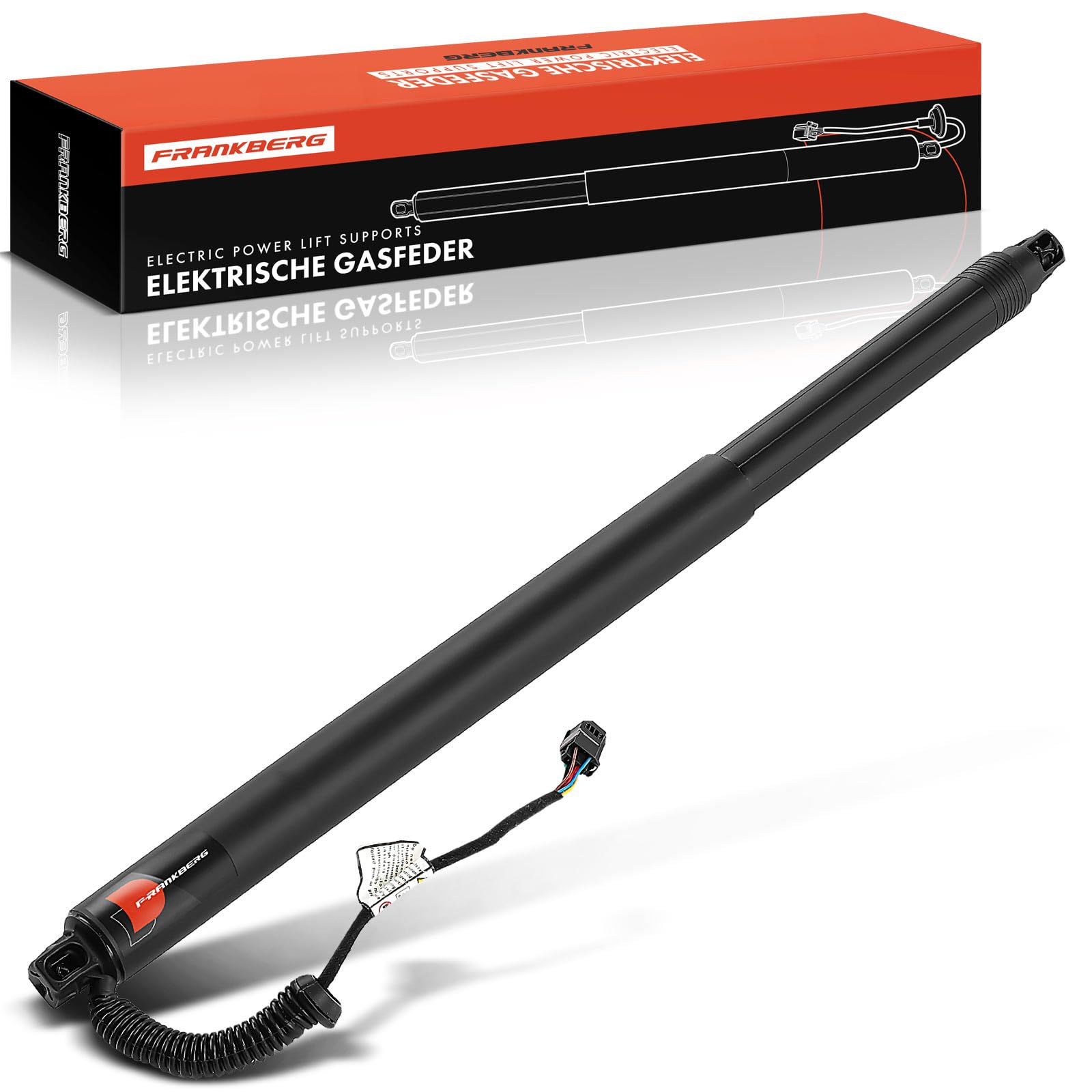 219G1015 RIDEX Gasveer achterklep 510N, 549,5 mm voor Renault Grand