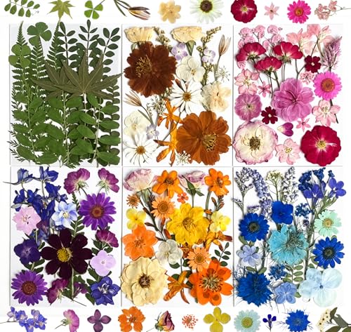 TrendCart 120Pcs Multi-Style Dried Pressed Flowers & Leaves (6 Packs) - Pressed Flower for Crafts, Resin, Nail Art, Candle, Soap, Phone Cases & DIY Jewelry