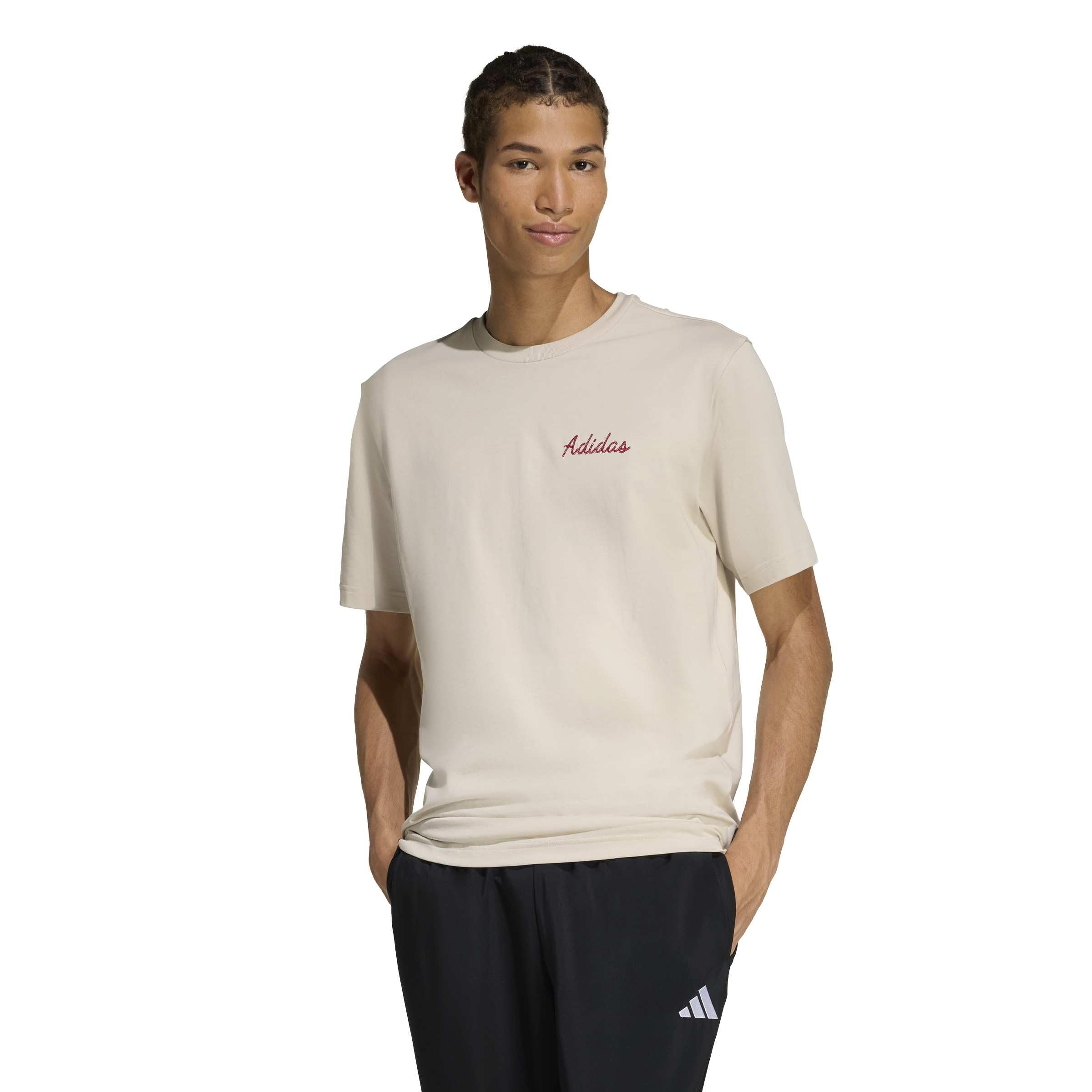 adidas Men's Novelty Bowl Graphic T-Shirt, Wonder Alumina, 3XL