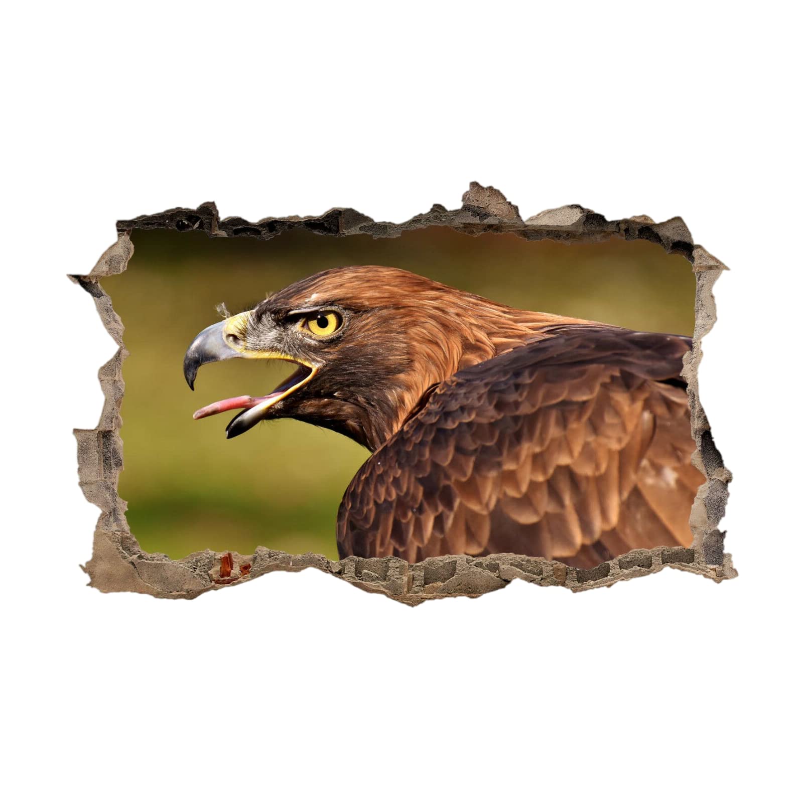 Eagle 3D Wall Decor Stickers Animal Removable Art Wall Tattoo Modern Smashed Family Vinyl Wall Decals for Home Nursery Girls Kids Living Room Bedroom Decoration 47