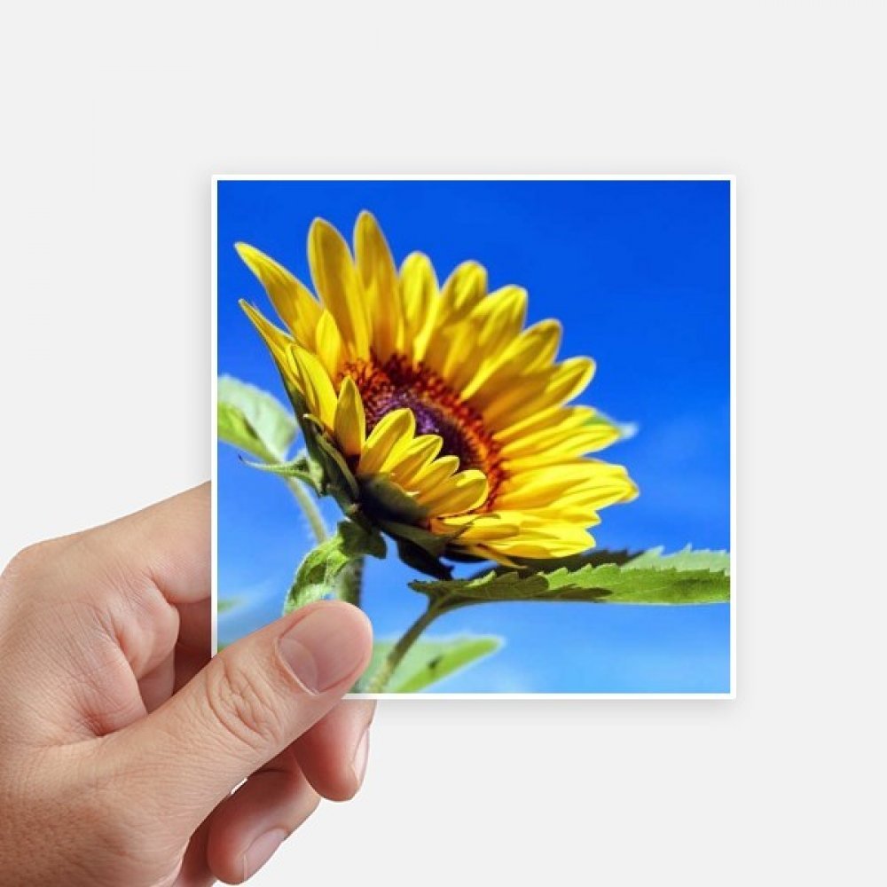 Motobike decal 8Pcs autocollant carré tournesols bleu ciel vinyle résistant 10cm