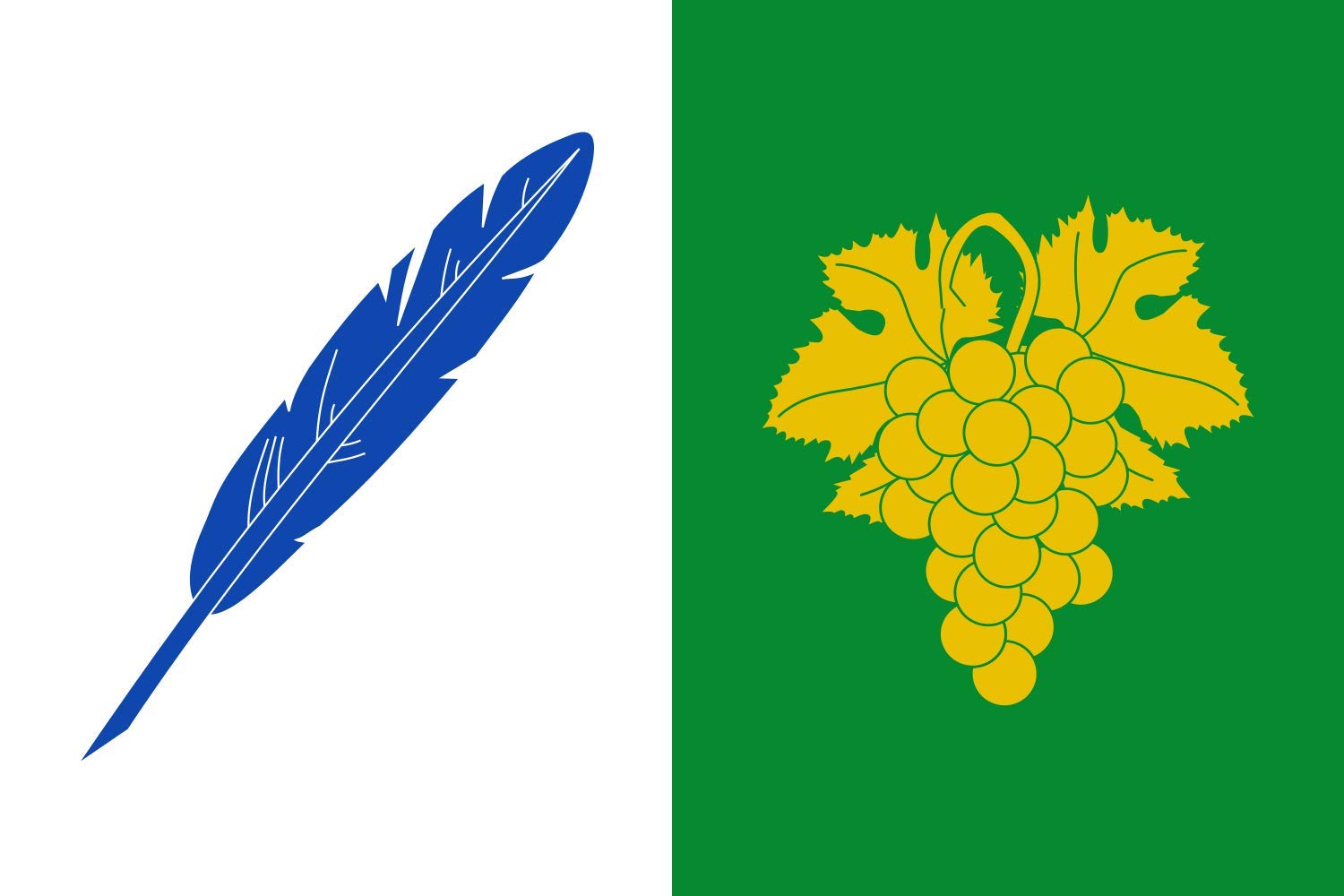 Drapeau Large Toén blanc pour mât | Grand pavillon uni 100x150cm