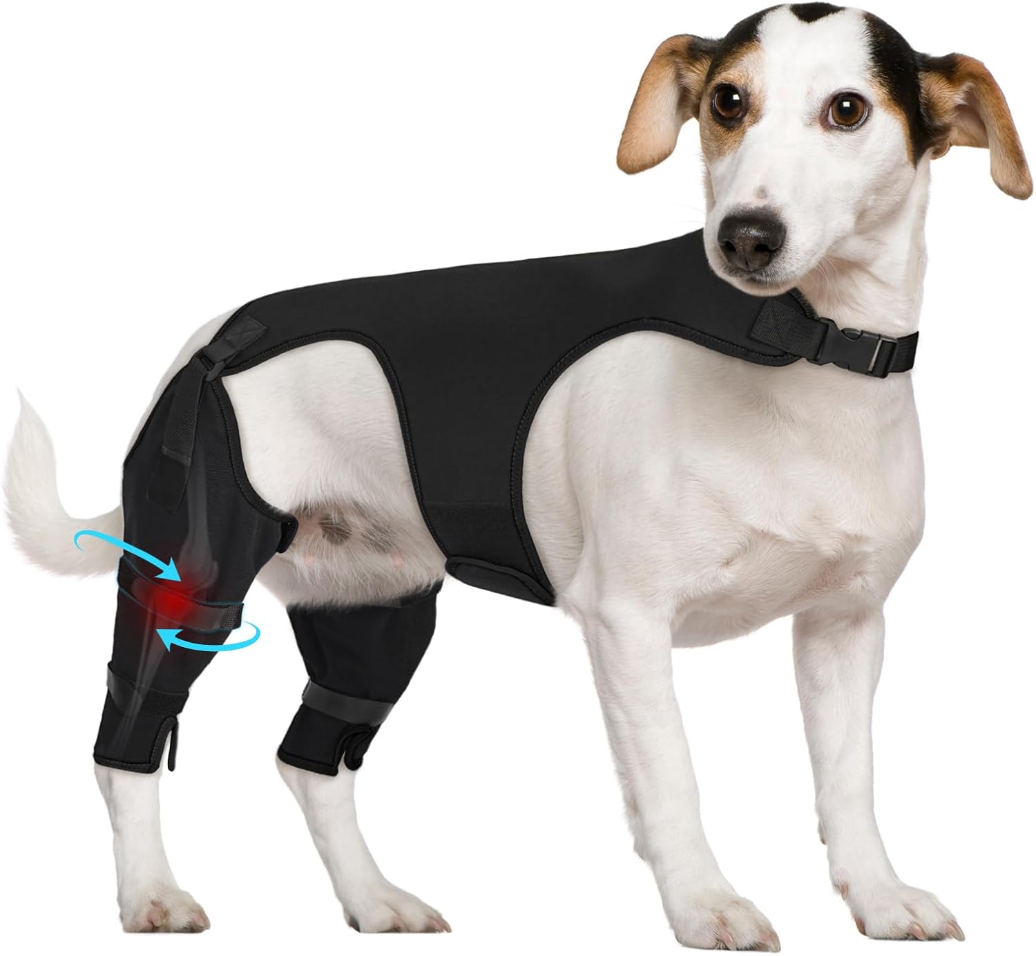Supet Dog Rear Leg Sleeve to Stop Licking- Potty-Friendly for TPLO ACL Surgery Leg Injuries, Chew Resistant Washable Recovery Sleeve, for Male and Female Pets(Black,L)