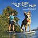 How to SUP With Your PUP: A guide to stand up paddleboarding with your dog