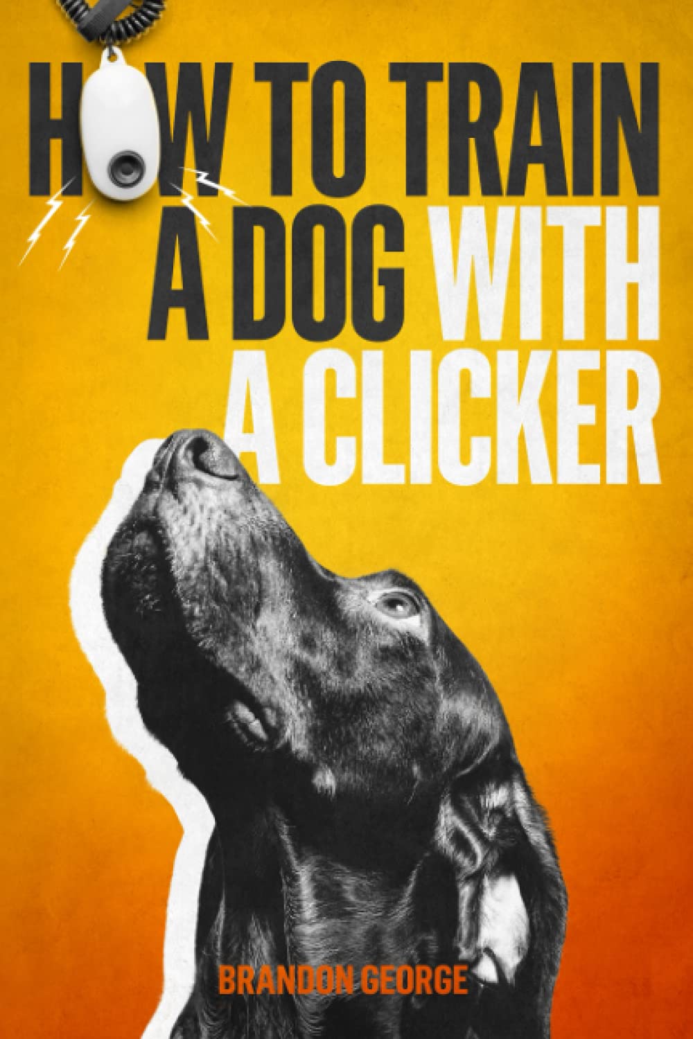 How to train a dog with a clicker
