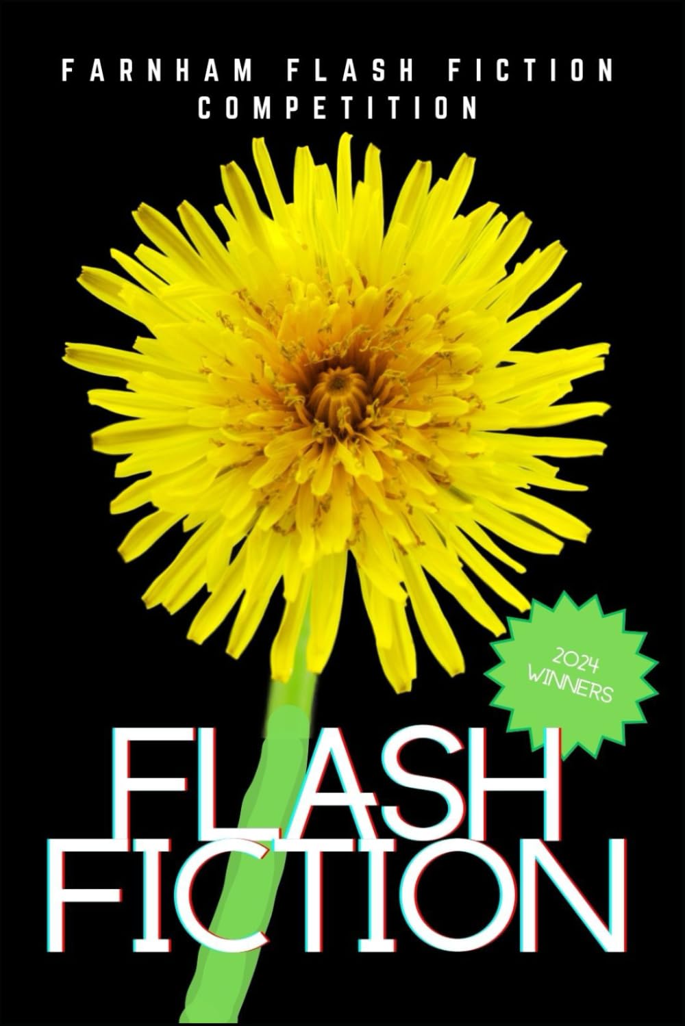 Farnham Flash Fiction 2024 (Flash Fiction | 500 words | Competition Winners)