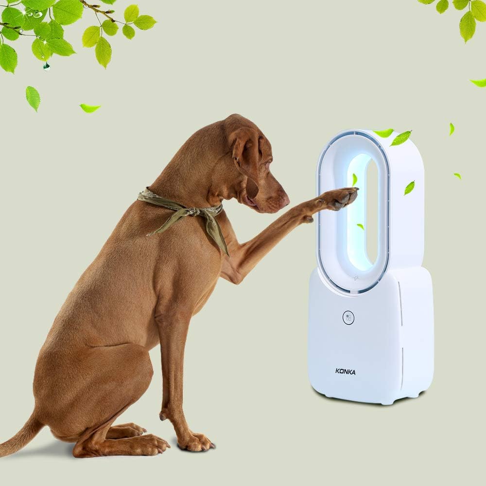 Desk Fan, Misby 11.8 Inch Bladeless Fan Small Table Fan Air Multiplier Cooler, Portable Rechargeable Breeze Quiet Fan with Touch Control 5-Colors Decorative LED Light for Office Bedroom (White) : Home & Kitchen