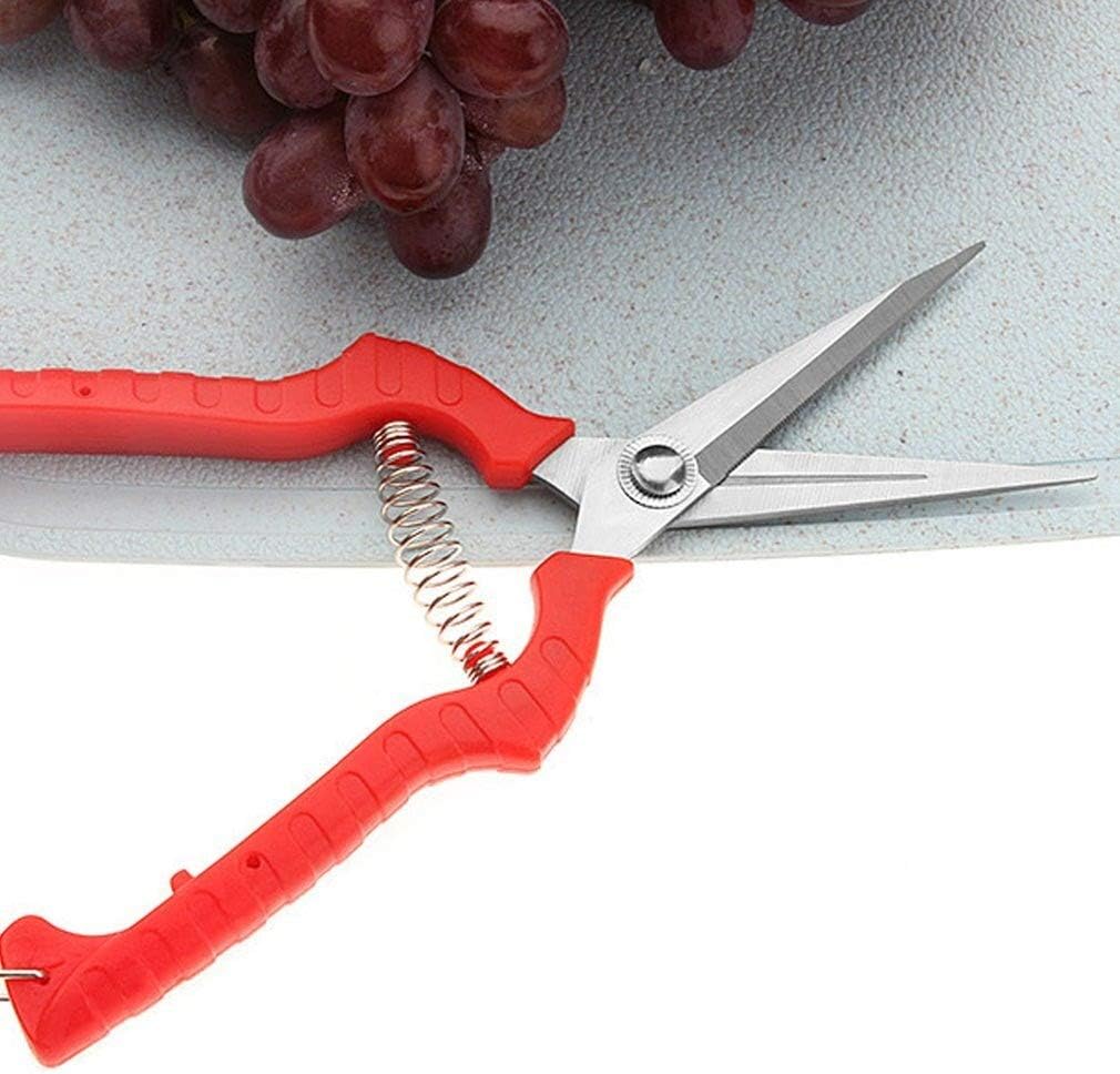 Garden Tool- Stainless Steel Pruning Shears Fruit Picking Scissors Household Potted Trim Weed Branches Small Gardening Tools Plant