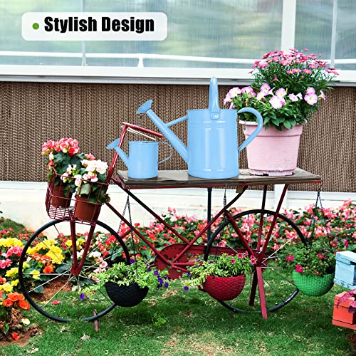 Lechloris Regador de Metal(1 Galão) para Plantas de Interior E Exterior com Pequeno Regador Grátis p