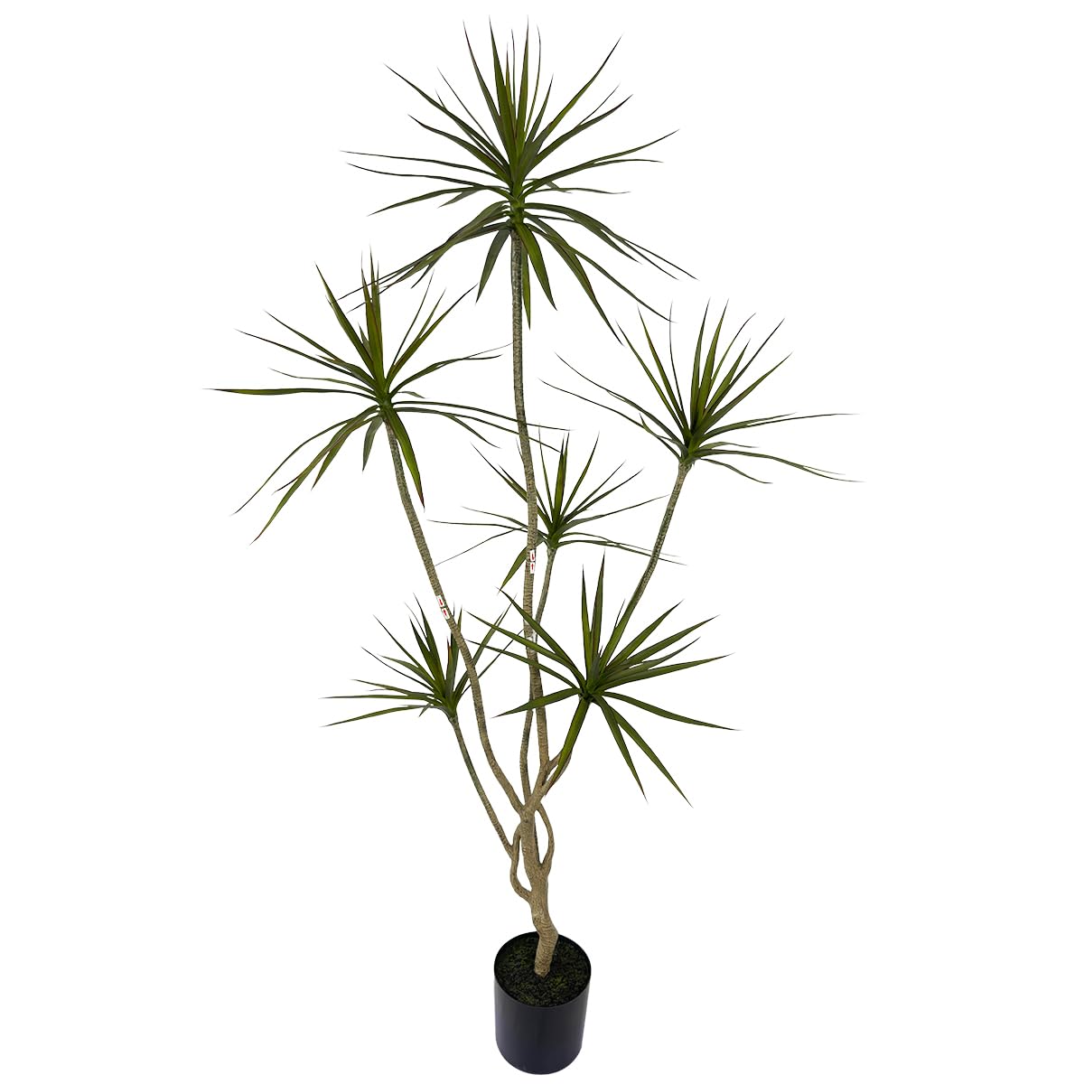 AfanD Artificial Dracaena marginata,6ft Tall Fake Plants Artificial Dracaena marginata Plants for Indoor, Fake Trees for Office Home Living Room Floor Patio Greening Porch Decor