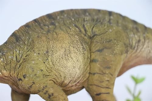 Miniatura 5 de Figura de Dicraeosaurus a escala 135 Diplodocus Dinosaur PVC Collector Animal Art Model Decoración Regalo para adultos (verde)