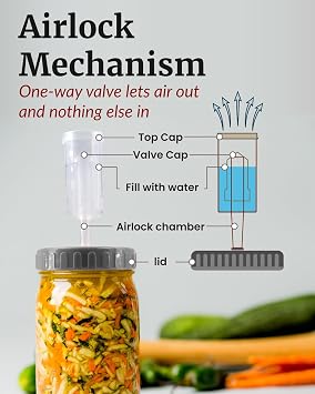 Elementi Fermentation Weights Kit - Set of 2 Glass Fermenting Weights and Mason Jar Fermentation Lids for Wide Mouth Mason Jars - Sauerkraut and Pickling Kit