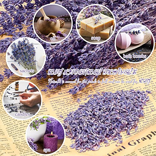 8 Ramilletes de Lavanda Secada Natural 16 Pulgadas miniatura 4