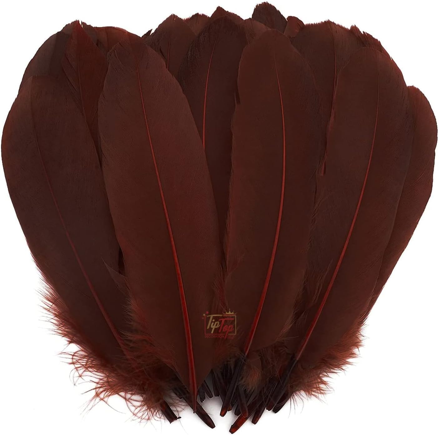 TIPTOP DECORATION Natural Dyed Goose Feathers Quills (10 Pieces) (15-20 cm) (Cocoa Brown)